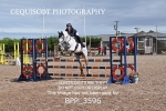 BPP_3596