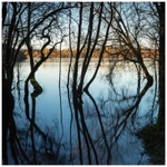 Lough Oughter, Co Cavan