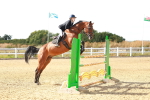 SBM_007584