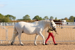 SBM_07964