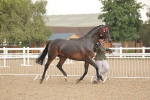 SBM_07726