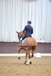 SBM_008955