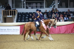 SBM_15197