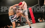 FULL BOAR CAGE FIGHTING 2012 portfolio