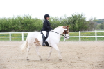 SBM_006609