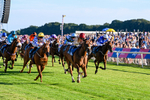 240726-Race 4-Rajaking-5338