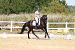 SBM_001563
