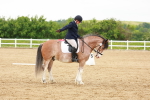 SBM_005999