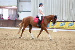 SBM_010229