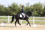 SBM_015431