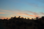 Sierra de Andújar, Andalucia, Spain