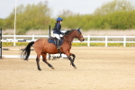 SBM_003625