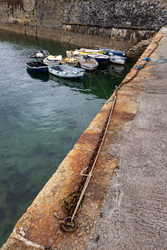 Tender gathering - Mevagissey