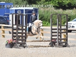 BPP_1466
