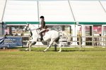SBM_20009