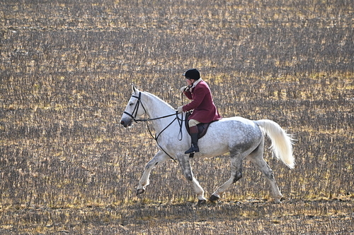WJ6_8593