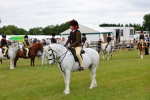 SBM_08729