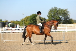 SBM_02177
