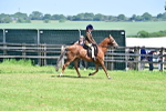 Class 95-97 - BSPS LHS Performance Ponies portfolio
