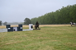 WJ6_0559