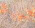 OCTOBER MEADOW, DETAIL - NORFOLK COUNTY