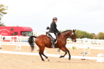 SBM_04019