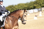 SBM_017336