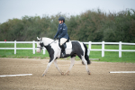 SBM_003491