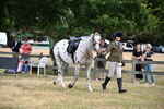WJ6_3847