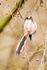 20120212-_MG_8566