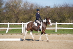 SBM_002046