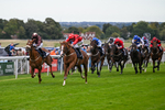 160926-Race 4-Woodvale-0640