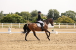 SBM_005372