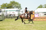 SBM_15464