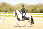 SBM_007881