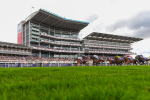 260823-Race 4-Absurde-1642