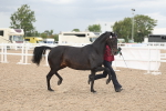 SBM_06944