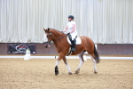 SBM_000182