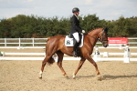 SBM_003342