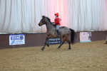 SBM_005037