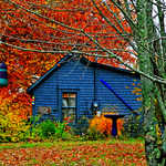 Fundy Postcard