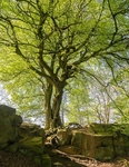 Photographic Walks in North Yorkshire 2018 portfolio