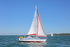 160806 CAMENA 402 Y92A1763_Edit