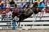 B Heck Thurs_1196