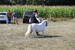 WJ6_4803