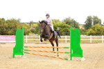 SBM_004928