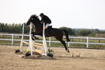 SBM_003275
