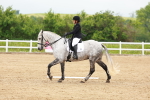SBM_005823