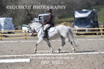 BPP_9561