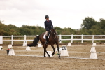 SBM_001988